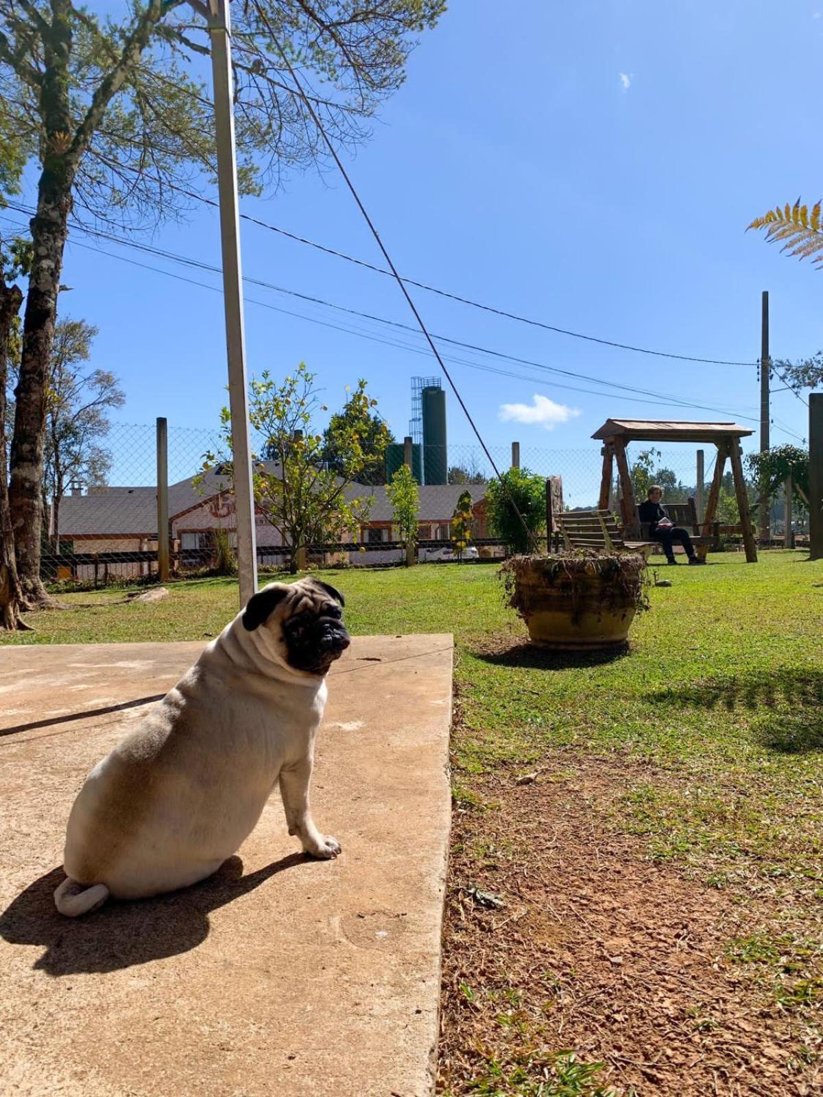 Do Luar 3* Monte Verde (Minas Gerais)